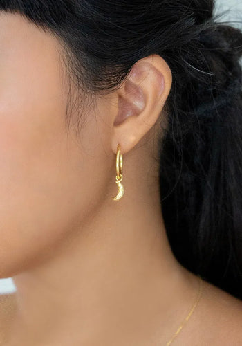 Crescent Moon Hoop Earrings